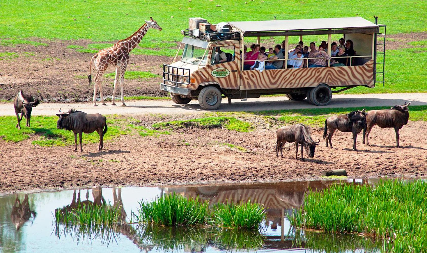 Serengeti Park Resort 霍登哈根 外观 照片